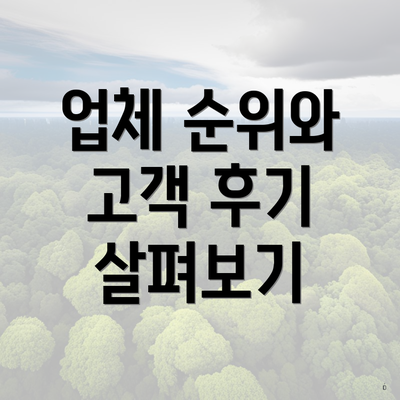 업체 순위와 고객 후기 살펴보기