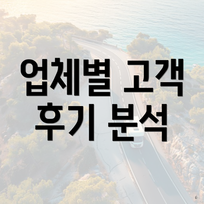 업체별 고객 후기 분석