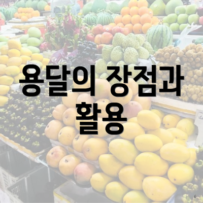 용달의 장점과 활용