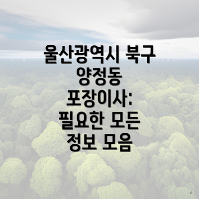 울산광역시 북구 양정동 포장이사: 필요한 모든 정보 모음