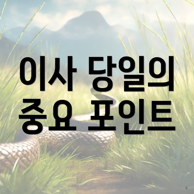 이사 당일의 중요 포인트