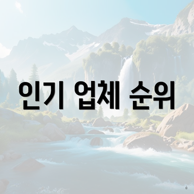 인기 업체 순위