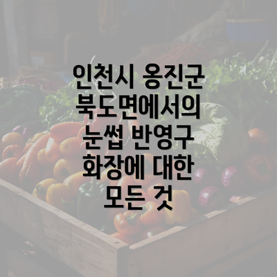 인천시 옹진군 북도면에서의 눈썹 반영구 화장에 대한 모든 것