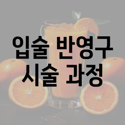 입술 반영구 시술 과정