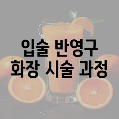 입술 반영구 화장 시술 과정