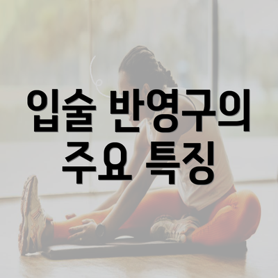 입술 반영구의 주요 특징