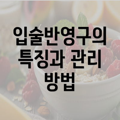 입술반영구의 특징과 관리 방법