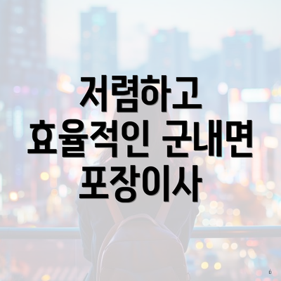 저렴하고 효율적인 군내면 포장이사