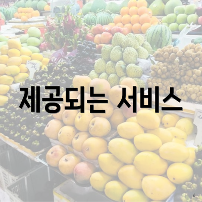 제공되는 서비스