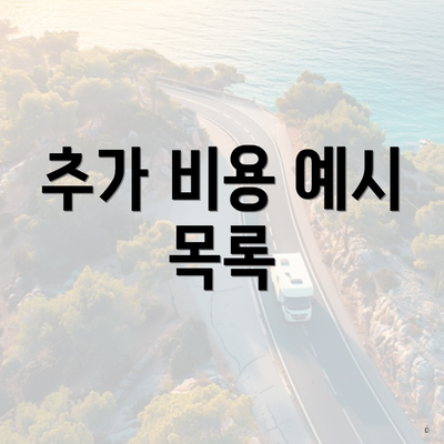 추가 비용 예시 목록