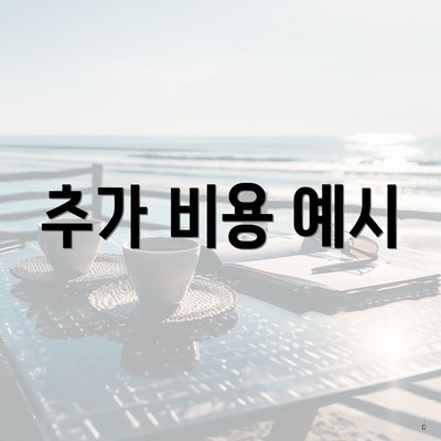 추가 비용 예시