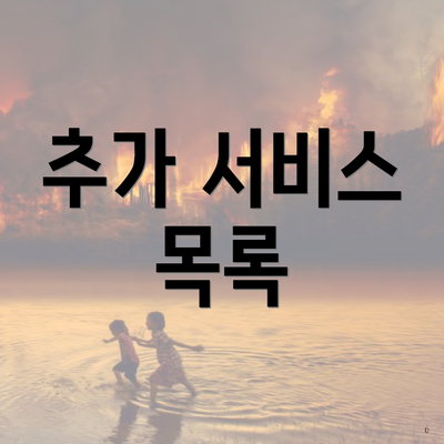 추가 서비스 목록