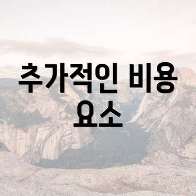 추가적인 비용 요소