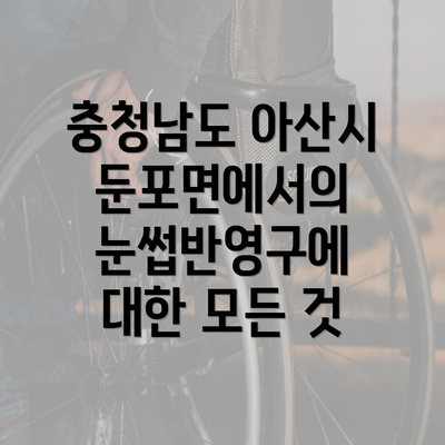 충청남도 아산시 둔포면에서의 눈썹반영구에 대한 모든 것