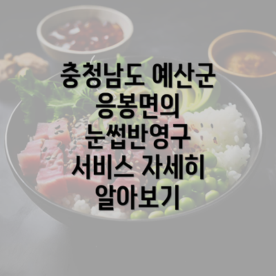 충청남도 예산군 응봉면의 눈썹반영구 서비스 자세히 알아보기