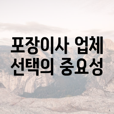 포장이사 업체 선택의 중요성