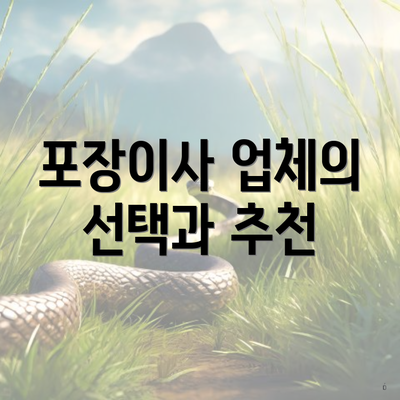 포장이사 업체의 선택과 추천