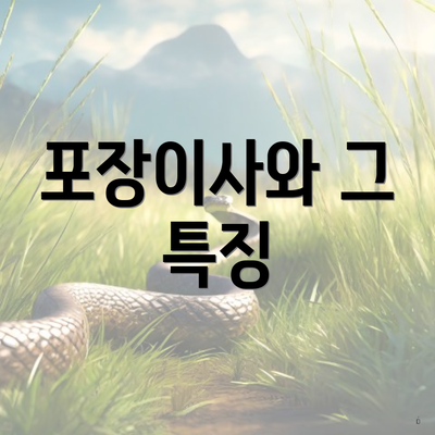 포장이사와 그 특징