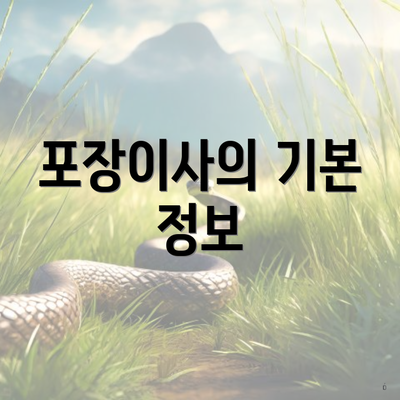 포장이사의 기본 정보