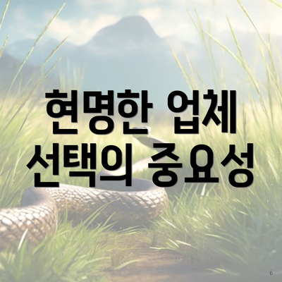 현명한 업체 선택의 중요성