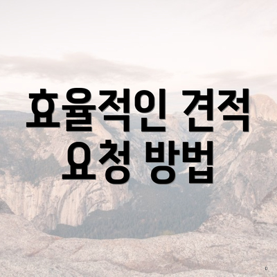 효율적인 견적 요청 방법