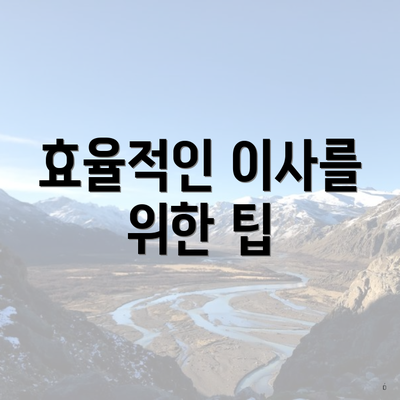 효율적인 이사를 위한 팁