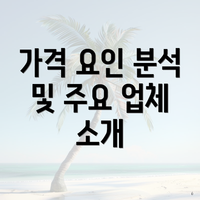 가격 요인 분석 및 주요 업체 소개