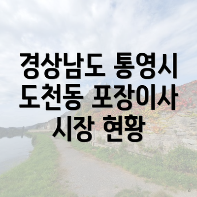 경상남도 통영시 도천동 포장이사 시장 현황