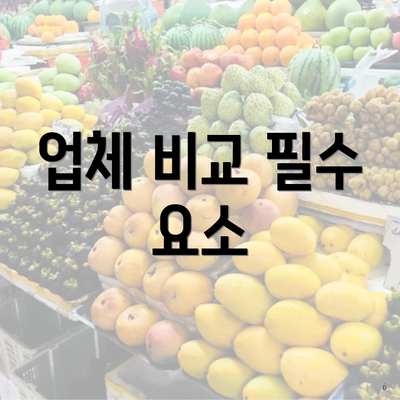 업체 비교 필수 요소