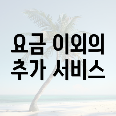 요금 이외의 추가 서비스